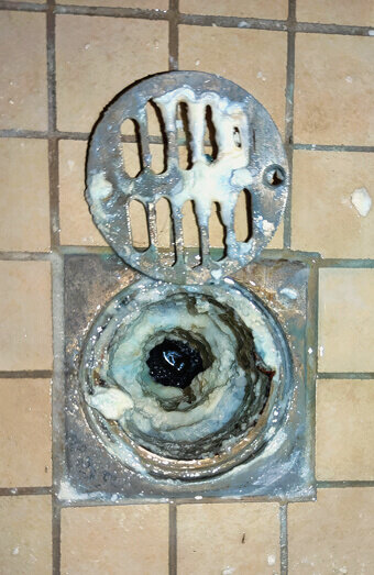 https://blockeddrainslandsdale.com.au/uploads/2025/07/blocked-shower-drains-86331.jpg