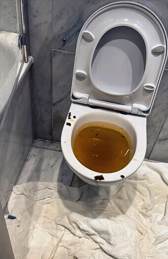https://blockeddrainslandsdale.com.au/uploads/2025/07/blocked-toilet-27793.jpg