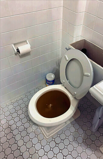 https://blockeddrainslandsdale.com.au/uploads/2025/07/blocked-toilet-99184.jpg