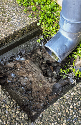 https://blockeddrainslandsdale.com.au/uploads/2025/07/hero-blocked-sewers-20143.jpg